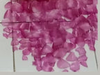 Recycled Sea Glass Windchime - Lotus Handmade Beach House Hanging
